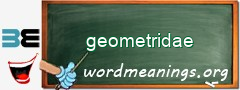 WordMeaning blackboard for geometridae